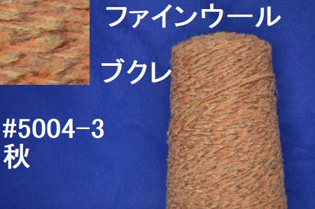 5004-3 ふんわりブクレヤーン　手編み糸  秋色